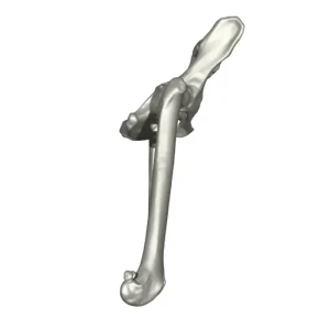 Pelvis with Femur (L+R) - Image 3