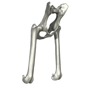 Movable Joint Models