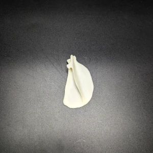 Anatomical model of a cat's Scapula - Image 2