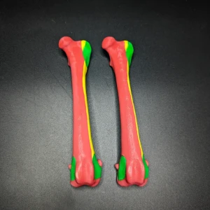 Anatomical model of the femur of a dog (bone map) - Image 4