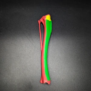 Anatomical model of the tibia of a dog (bone map) - Image 4