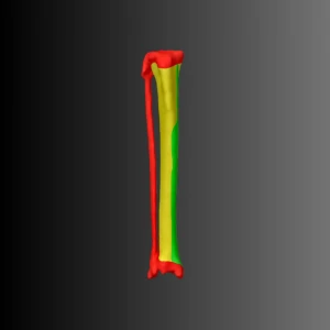 Coloured bones
