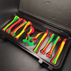 Set of colored anatomical models CBONE BOX - Image 3